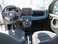 Fiat Panda Hybrid Icon Weiß - thumbnail 4