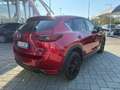 Mazda CX-5 CX-5 II 2017 2.2 Homura 2wd 150cv my21 Rosso - thumbnail 4