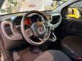 Fiat Panda Panda Cross 1.0 FireFly S&S Hybrid Grün - thumbnail 5
