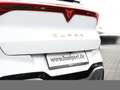 CUPRA Terramar 1.5 VZ HYBRID DSG MATRIX HUD 360CAM NAV Weiß - thumbnail 6