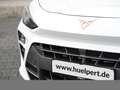 CUPRA Terramar 1.5 VZ HYBRID DSG MATRIX HUD 360CAM NAV Weiß - thumbnail 7