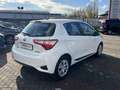 Toyota Yaris 5p 1.5 hybrid Active Weiß - thumbnail 4