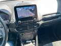 Ford EcoSport ST-Line Kamera Leder Navi LED 17 Zoll Gelb - thumbnail 15