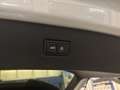 Audi Q7 3.0 TDI quattro S-LINE+B&O ADVANCED+PANO+AHK+STAND Bianco - thumbnail 7