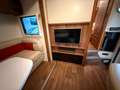 Autres Celtic Rambler Wohnauflieger Fifth Wheel Co. Blanc - thumbnail 8