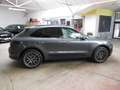 Porsche Macan (95B) 2.0 252CH PDK Grigio - thumbnail 5
