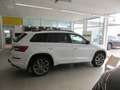Skoda Kodiaq RS 4x4/AHK/Pano/WR Blanc - thumbnail 5