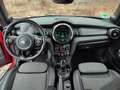 MINI Cooper Cabrio DigCockpit CarPlay H/K LED SHZ PDC Rot - thumbnail 7