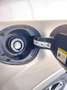 Ford Kuga 1.5 TDCI 120 CV S&S 2WD Powershift ST-Line Bronzo - thumbnail 14