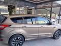 Ford Kuga 1.5 TDCI 120 CV S&S 2WD Powershift ST-Line Bronzo - thumbnail 6