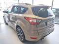 Ford Kuga 1.5 TDCI 120 CV S&S 2WD Powershift ST-Line Bronzo - thumbnail 4