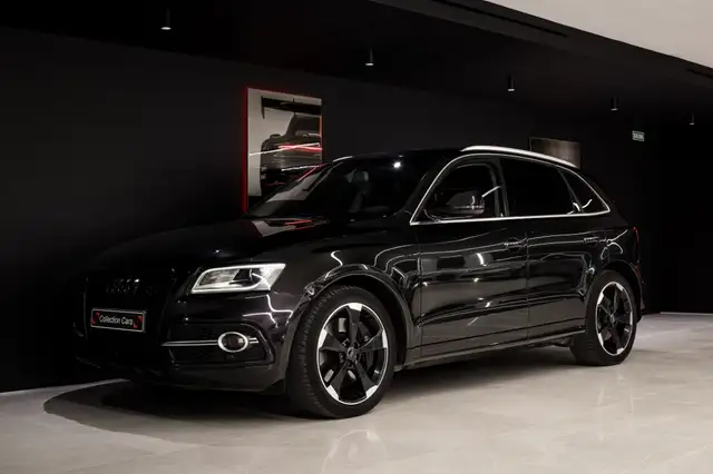 Audi SQ5 3.0TDI quattro Tiptronic 313