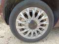 Fiat 500 500 1.2 Dolcevita Dolcevita Burdeos - thumbnail 10