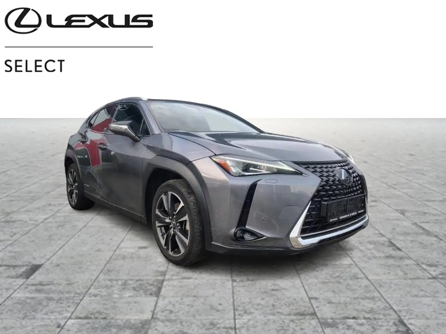 Lexus UX 250h Executive Line Gris - 1