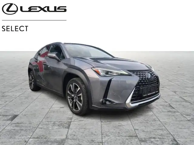 Lexus UX 250h Executive Line
