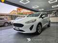 Ford Fiesta Fiesta 5p 1.1 Plus 70cv Blanc - thumbnail 3