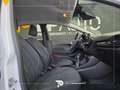 Ford Fiesta Fiesta 5p 1.1 Plus 70cv Blanc - thumbnail 15