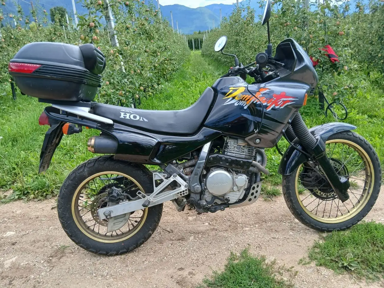 Honda NX 650