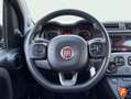 Fiat Panda City Life Hybrid 1.0 Gse 51kw (70CV) Negro - thumbnail 14