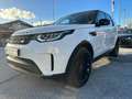 Land Rover Discovery 2.0 TDI HSE FULL OPTIONAL Bianco - thumbnail 1