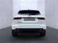 Jaguar E-Pace P250 AWD R-Dynamic Black Weiß - thumbnail 4