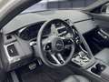 Jaguar E-Pace P250 AWD R-Dynamic Black Weiß - thumbnail 19