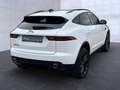 Jaguar E-Pace P250 AWD R-Dynamic Black Weiß - thumbnail 2