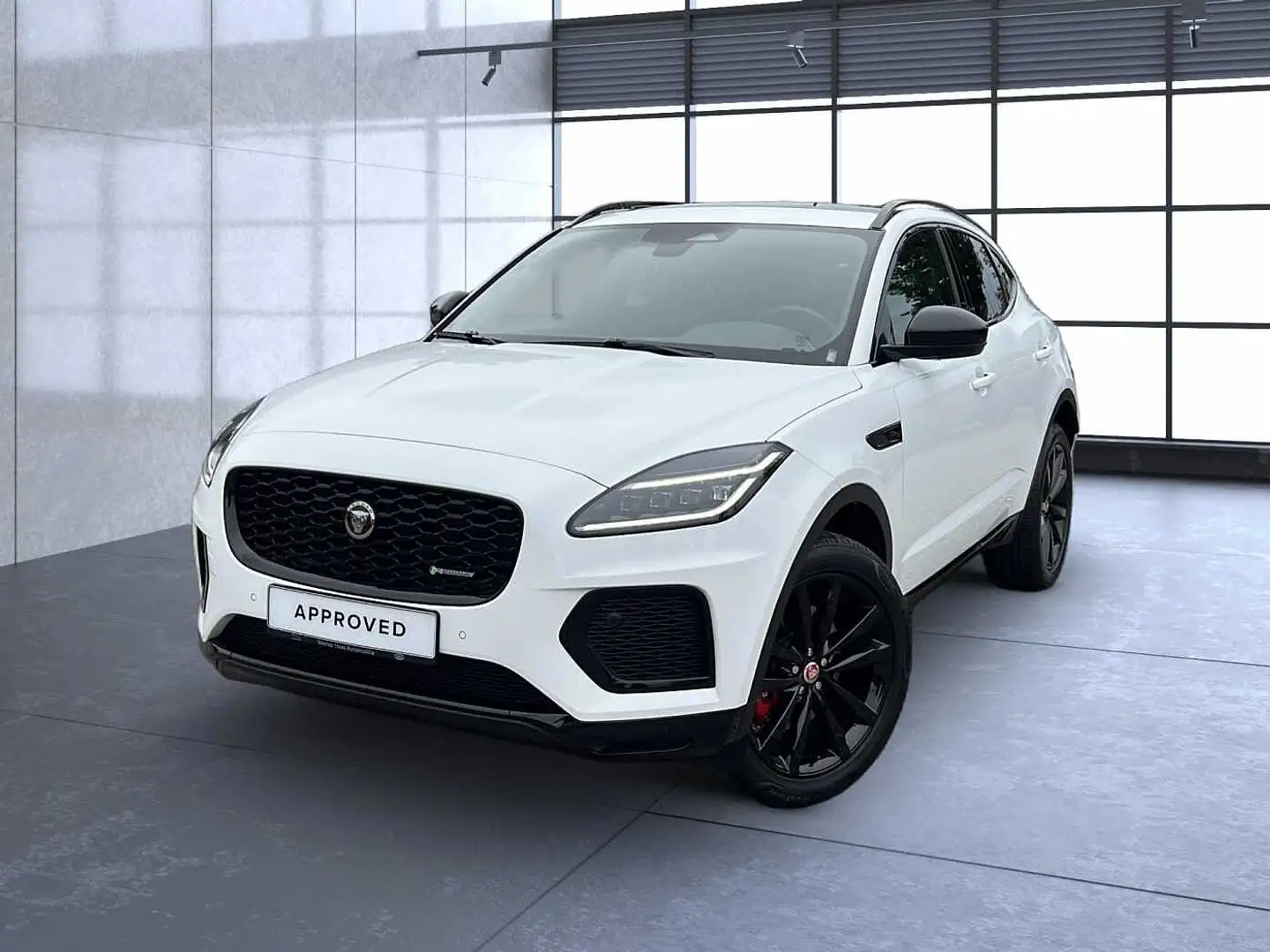 Jaguar E-Pace P250 AWD R-Dynamic Black Weiß - 1