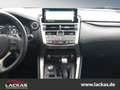 Lexus NX 300h LUXURY-LINE*PANO*MARK-LEV*15J.GARANTIE* Szürke - thumbnail 15