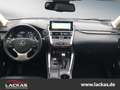 Lexus NX 300h LUXURY-LINE*PANO*MARK-LEV*15J.GARANTIE* Szary - thumbnail 14