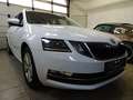Skoda Octavia 1,6 TDI SCR Style Limited Weiß - thumbnail 2