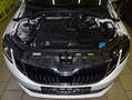 Skoda Octavia 1,6 TDI SCR Style Limited Weiß - thumbnail 6