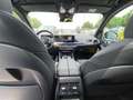 BMW X5 30D M SPORT MSPORT M-SPORT PRO TETTO PDC KAMERA Grigio - thumbnail 13