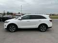 Kia Sorento 2,2 CRDi SCR AWD Gold Aut. Weiß - thumbnail 7