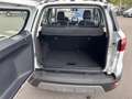 Ford EcoSport 1.0 ECOBOOST 125CH TITANIUM Blanc - thumbnail 9