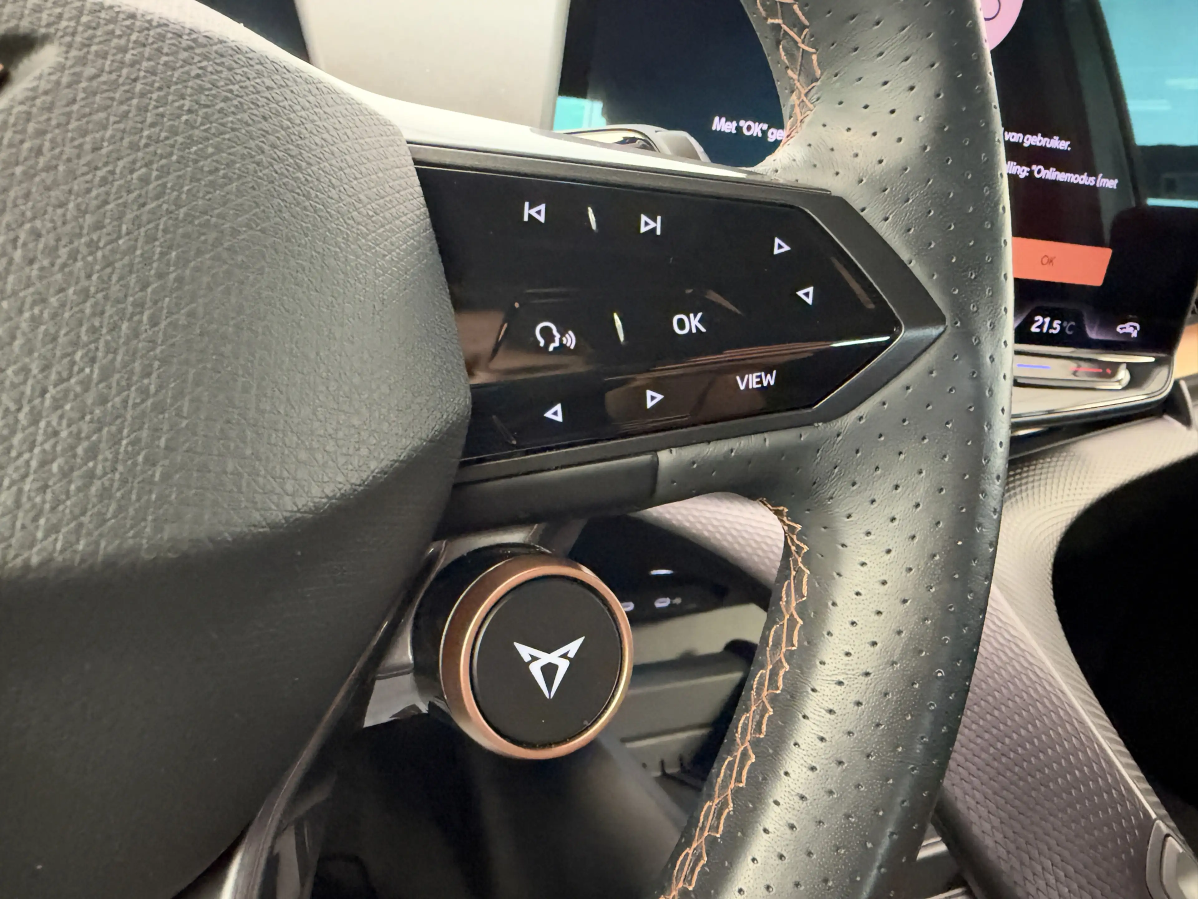 CUPRA Tavascan Essential 82 kWh ACC PDC Camera — photo 11