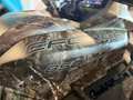 CFMOTO CForce 850 TOURING  Modell 2026 Camouflage - thumbnail 9