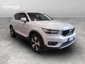 Volvo XC40 1.5 T3 Momentum 163cv auto my21 Wit - thumbnail 8