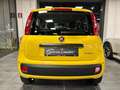 Fiat Panda 1.0 FireFly S&S Hybrid Pop - KM 0 Gelb - thumbnail 4
