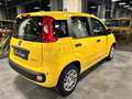 Fiat Panda 1.0 FireFly S&S Hybrid Pop - KM 0 Gelb - thumbnail 3