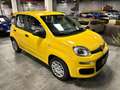 Fiat Panda 1.0 FireFly S&S Hybrid Pop - KM 0 Gelb - thumbnail 1