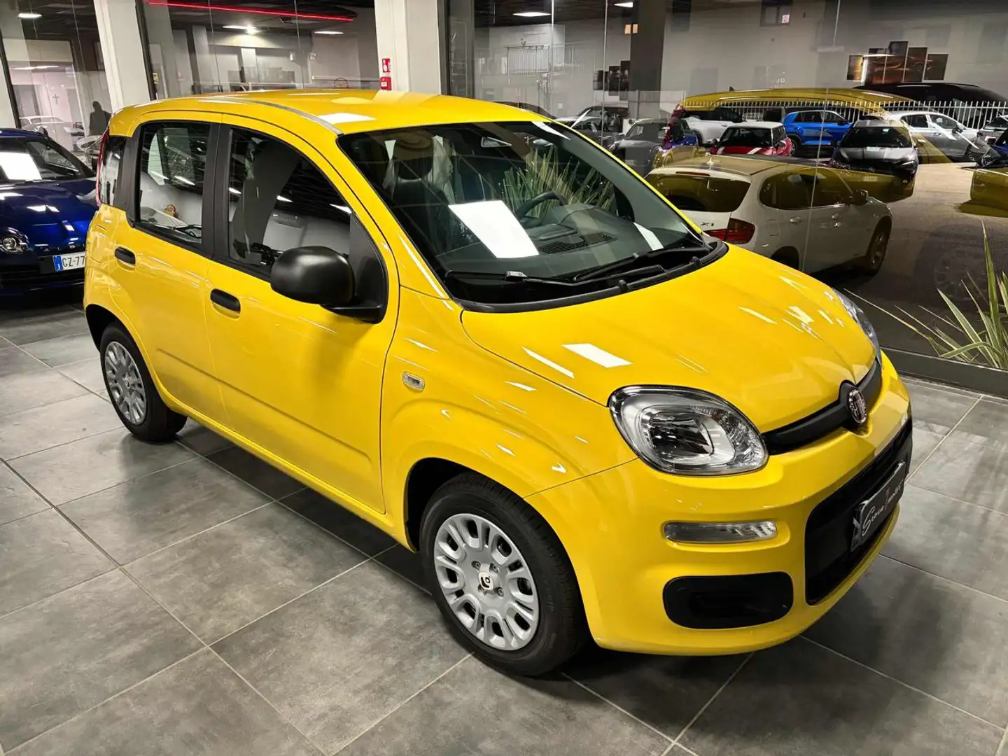 Fiat Panda 1.0 FireFly S&S Hybrid Pop - KM 0 Amarillo - 1