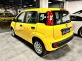 Fiat Panda 1.0 FireFly S&S Hybrid Pop - KM 0 Gelb - thumbnail 5