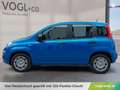 Fiat Panda Hybrid Blau - thumbnail 2