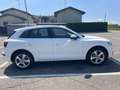 Audi Q5 Audi Q5 2.0 TDI QUATTRO s-tronic - thumbnail 4
