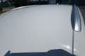 Audi Q5 Audi Q5 2.0 TDI QUATTRO s-tronic - thumbnail 7