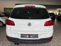 Volkswagen Tiguan CUP*PANORAMADACH*SHZ* Weiß - thumbnail 7