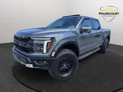 Ford F-150 FORD F-150 RAPTOR 2024 V6 3.5L