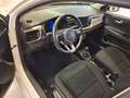 Kia Rio 1.2 MPi Evolution Bianco - thumbnail 7