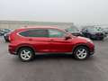 Honda CR-V 1,6i-DTEC Elegance plus Rot - thumbnail 8